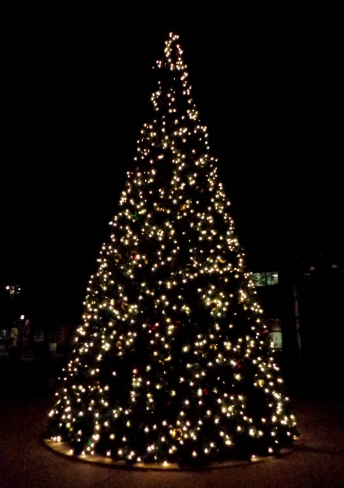 Άναμμα του Χριστουγεννιάτικου Δένδρου | Δήμος Διονύσου